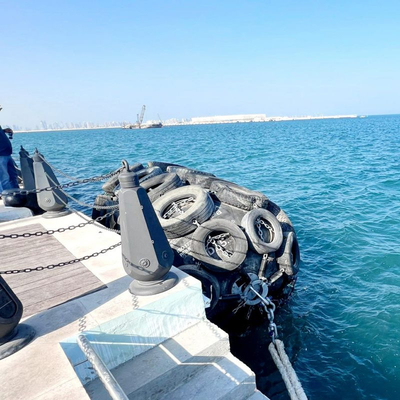 팔레트 포장과 80 Deg Ｃ 공기식 방충재 80kPa에 대한 -40 Deg Ｃ